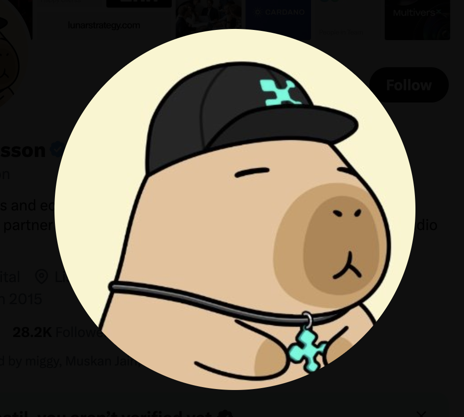 Tim Haldorsson avatar